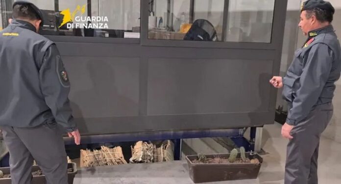 fabbrica calndestina sigarette