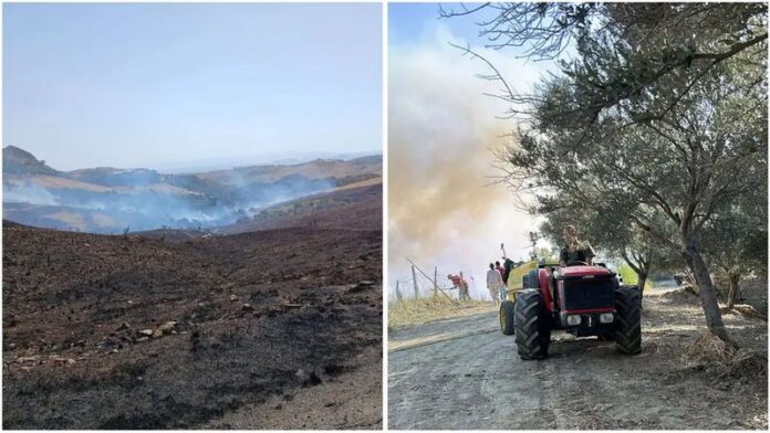 incendio castrovillari agricoltore ustionato