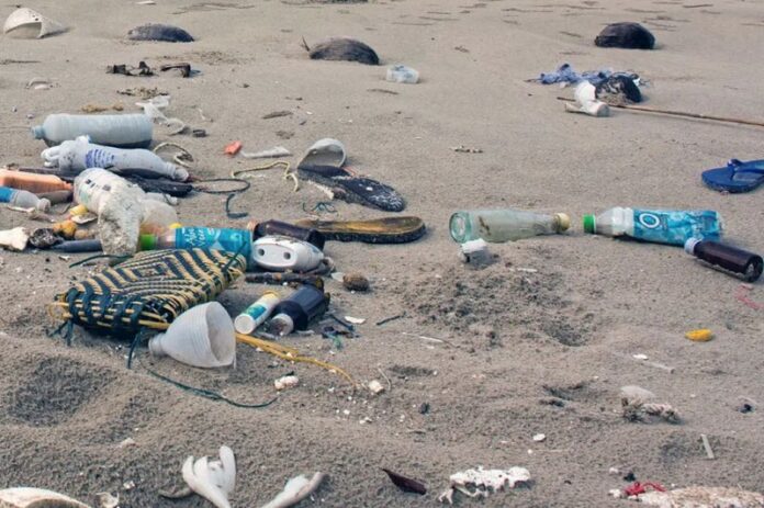 inquinamento mare spiagge coste