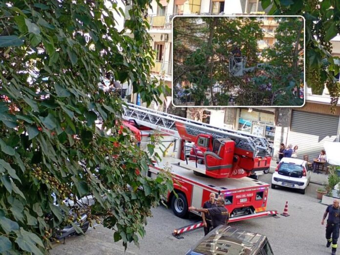 intervento vigili del fuoco cosenza