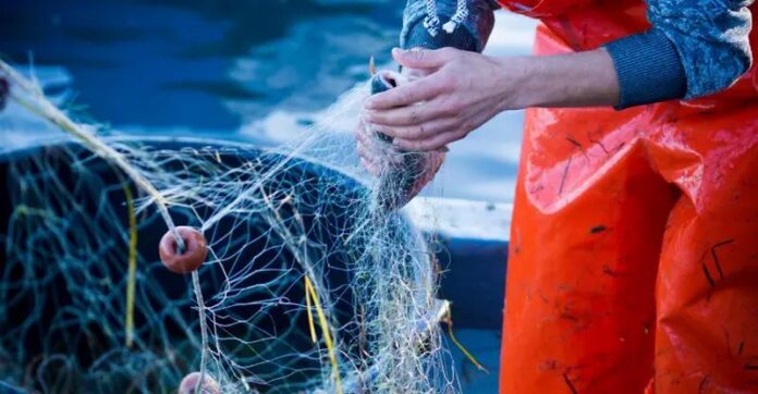 pesca rete pescatore