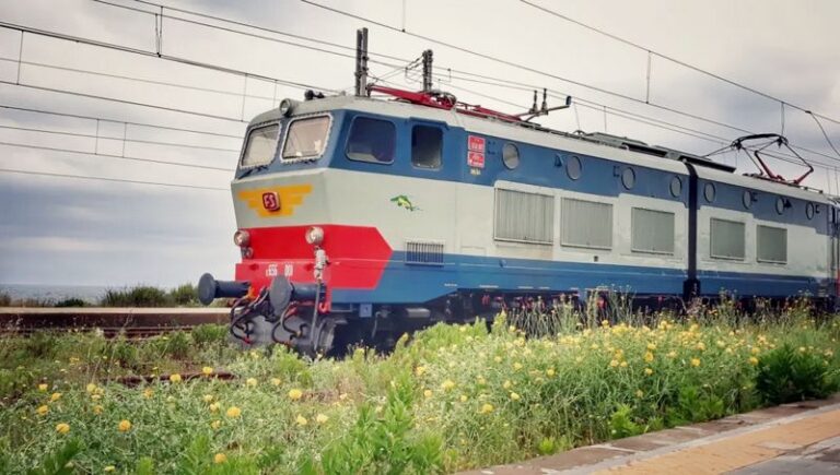 treno binari ferrovia