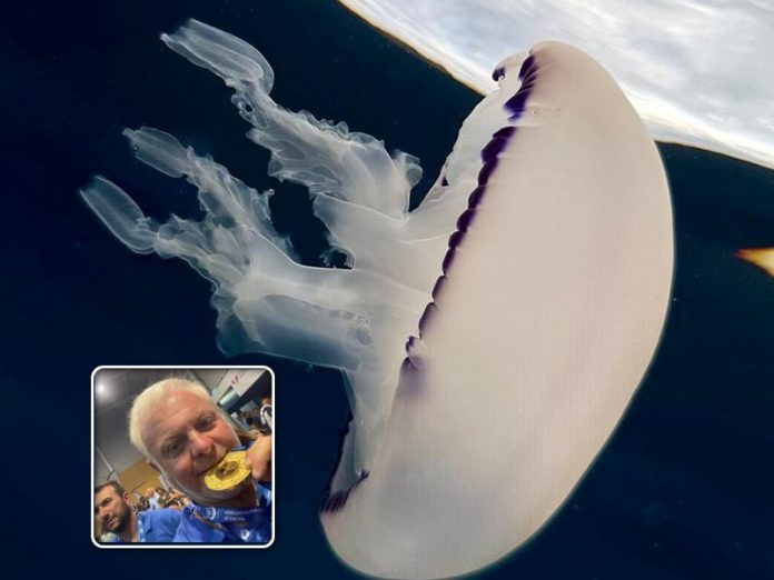 oto subacquea ciccio sesso