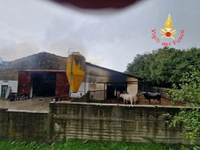 fulmine colpisce capannone