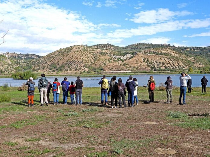 lago tarsia bird watching