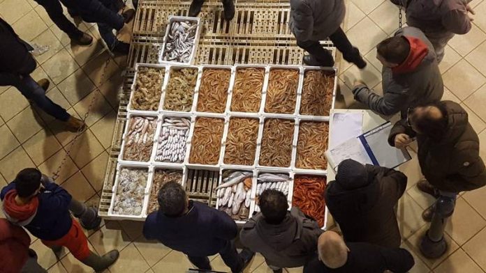 mercato ittico di schiavonea
