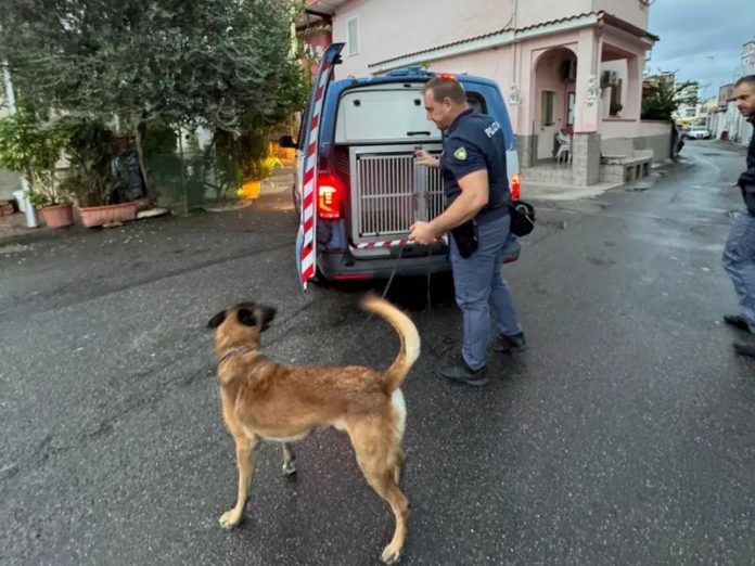 polizia cane antidorga crotone