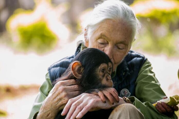 Jane Goodall
