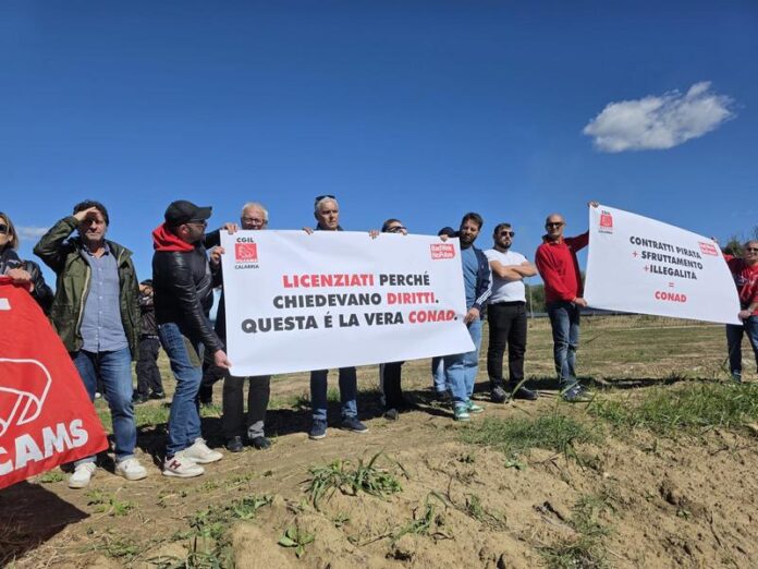 sit-in lavoratori conad montalto