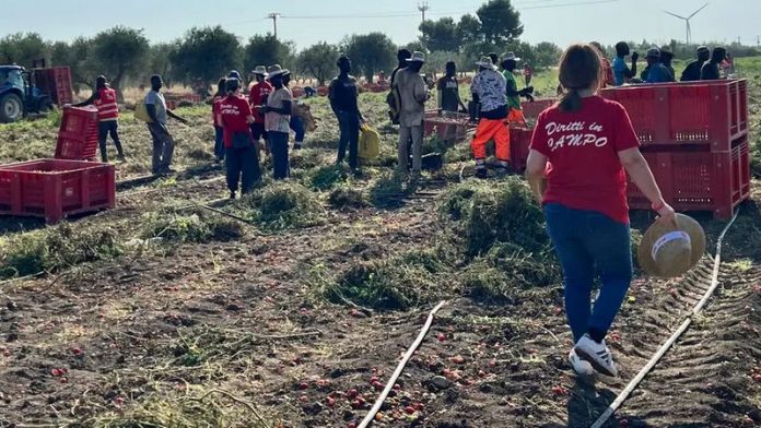 brigate del lavoro cgil
