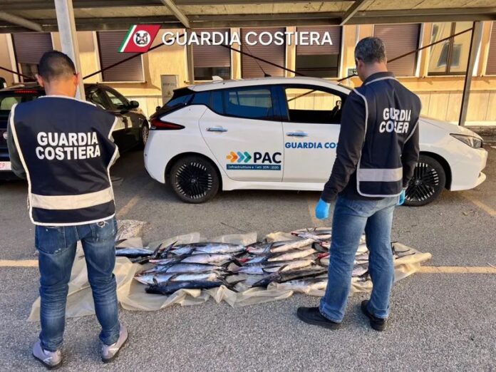 pesca illegale pescespada vibo