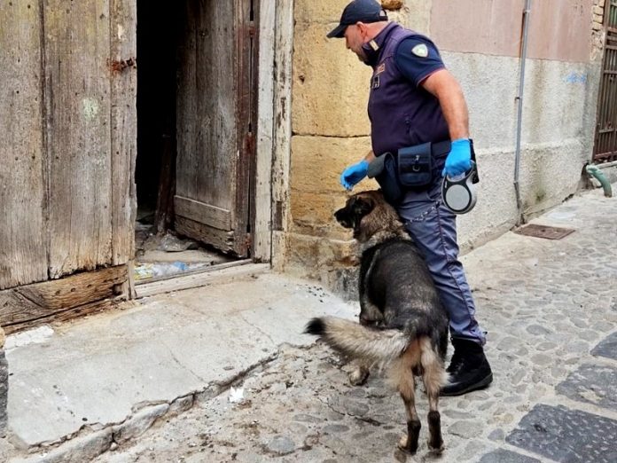 poliziotto cane controlli
