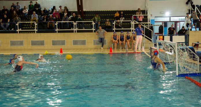 smile cosenza genova