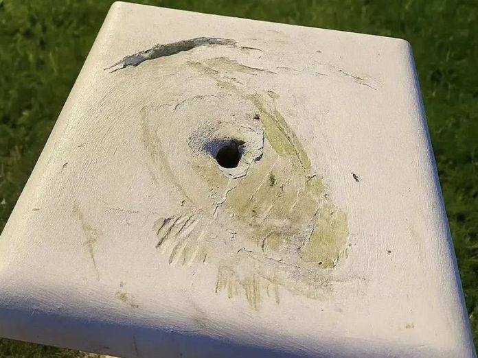 vandali corigliano fabiana luzzi