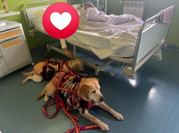 Pet therapy ospedale Lamezia Terme
