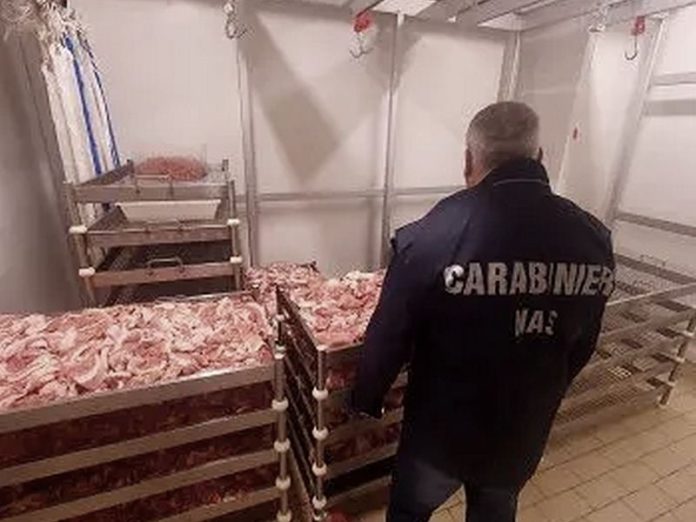 nas catanzaro controlli alimentari