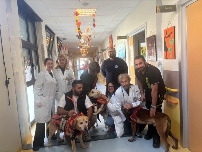 pet-therapy pediatria catanzaro
