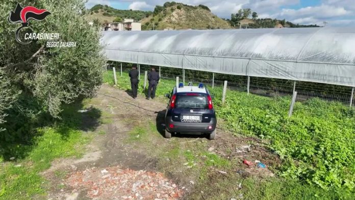 sequestro serre abusive aspromonte