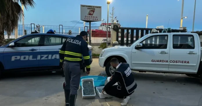 Polizia Crotone sequestro novellame sarda