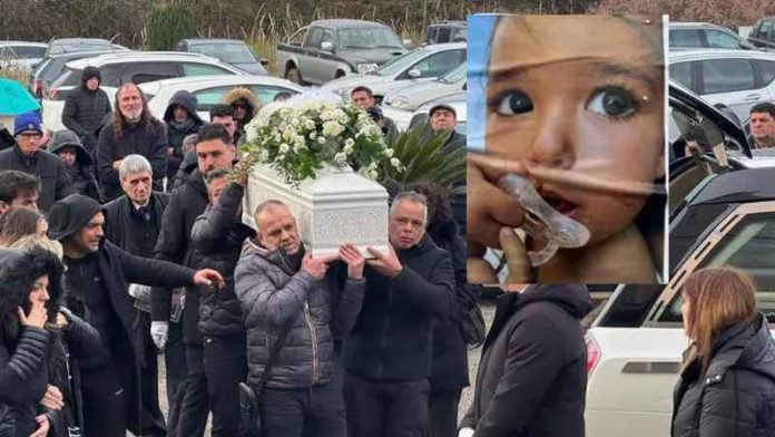 funerale clara vibo