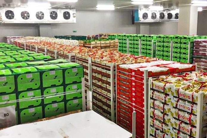 gdo grande distribuzione alimentare