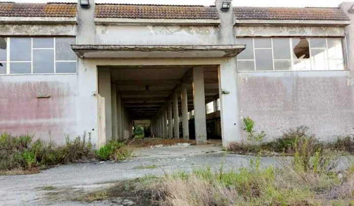 mercati generali vibo