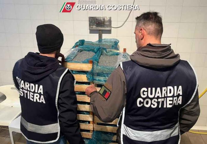 sequestro novellame di sardina crotone