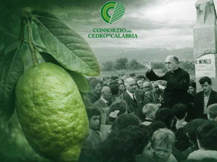 58 anni di Santa Maria del Cedro