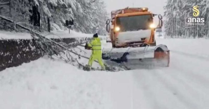 alberi caduti sila neve