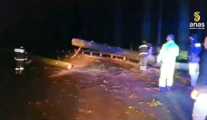 albero caduto serra san bruno