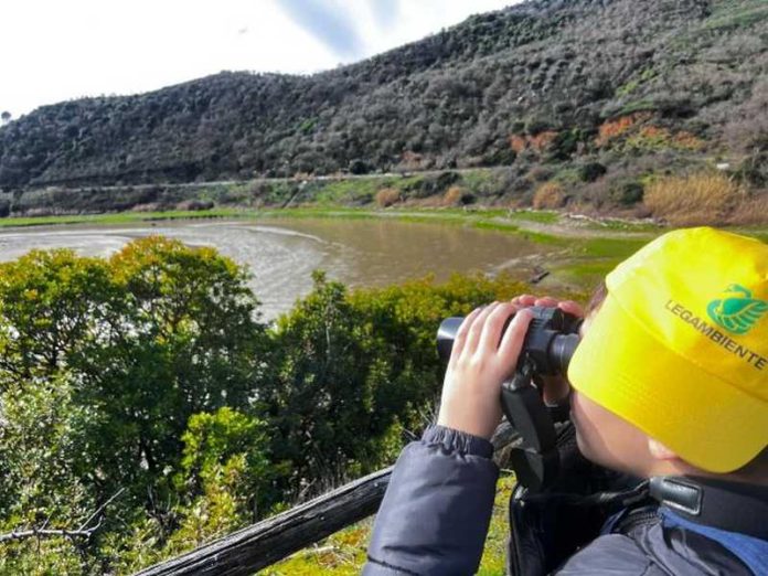 tarsia zone umide legambiente