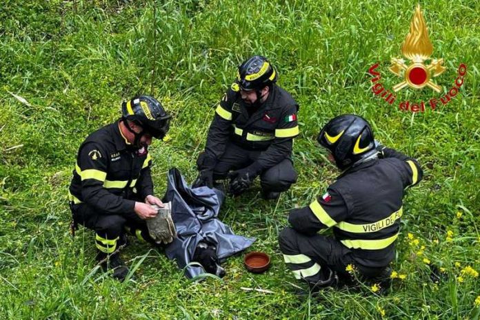 cane soccorso vigili limbadi