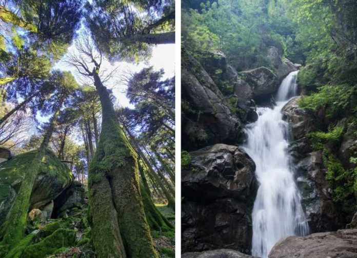 parco delle serre_biodiversità