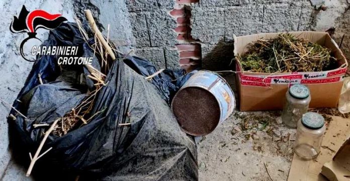 ritrovo marijuana cirò marina