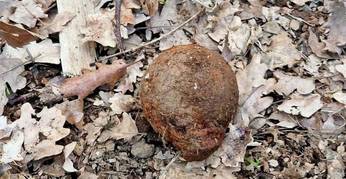 Chiaravalle Centrale allarme ordigno