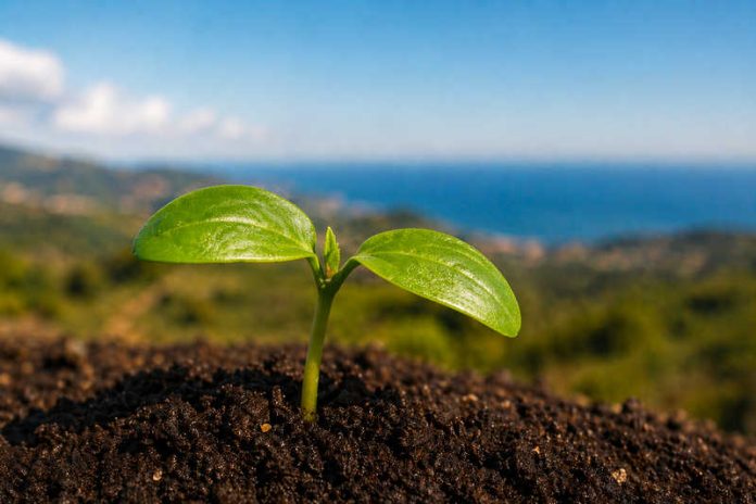 Coldiretti-Calabria-Earth-Day
