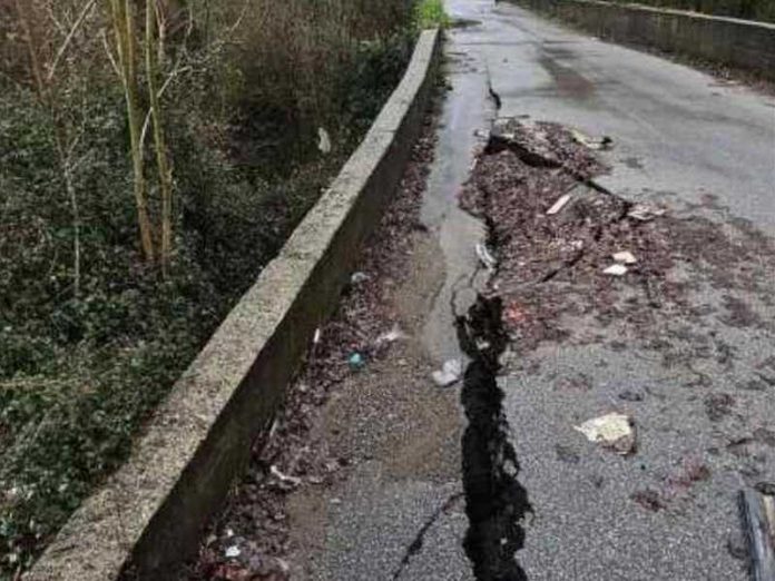 SP-81 mendicino cerisano