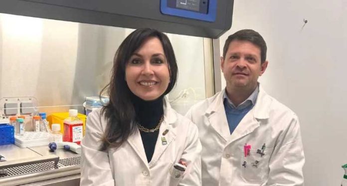 Unical tumore al seno