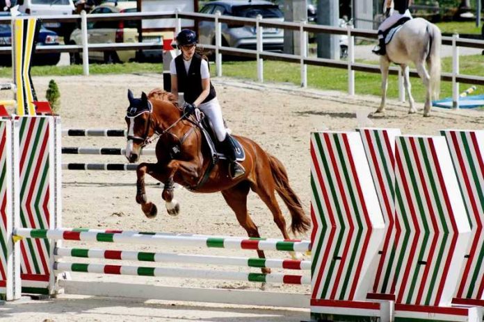 equitazione salto ostacoli