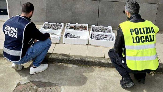 pescato non tracciato crotone