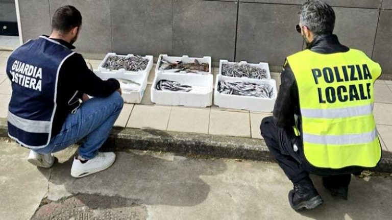 pescato non tracciato crotone