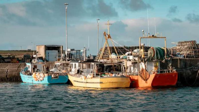 pescherecci barche porto