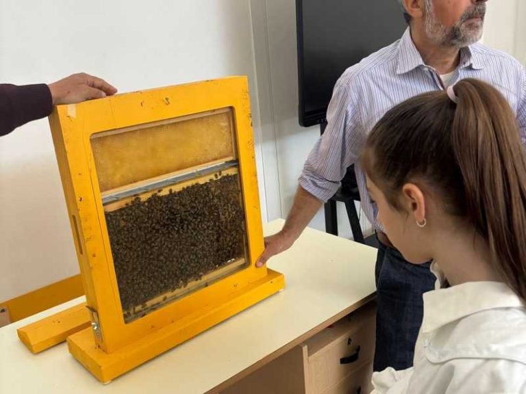 promozione biologico cassano