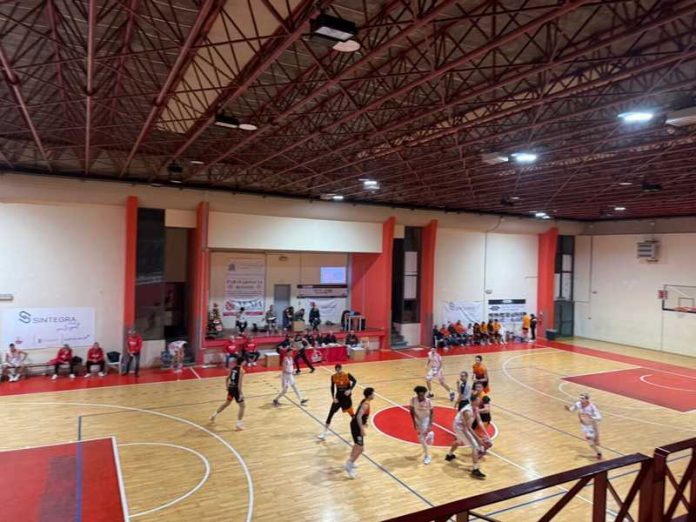 rende bim bum_viola redel 2025