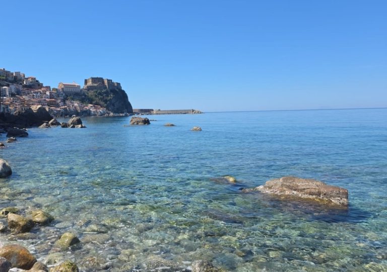 scilla-mare