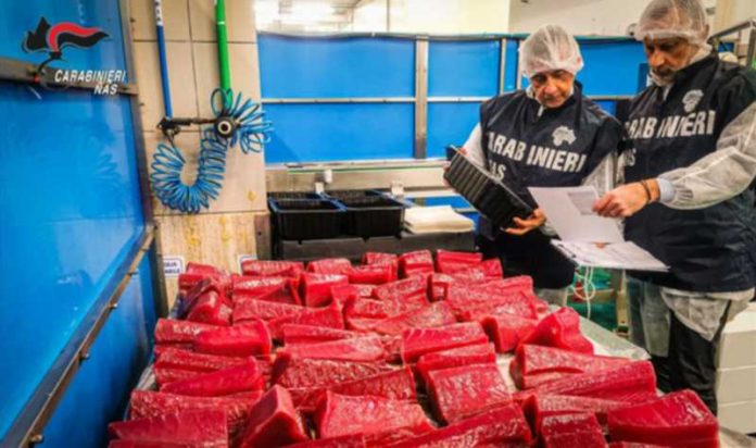 sequestro prodotti ittici catanzaro