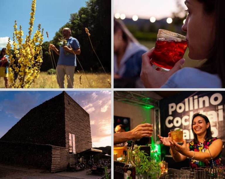 Pollino Cocktail Camp
