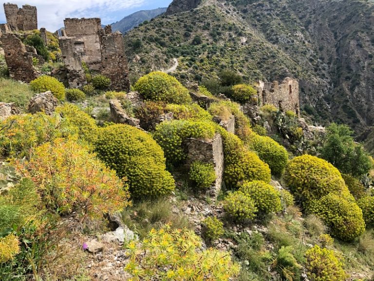 Ambiente, la Calabria fa il pieno di fondi: 7,8 milioni dal Mase per 10 progetti green