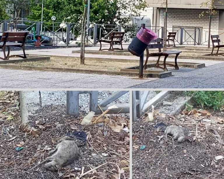 degrado villetta Demetrio Crea