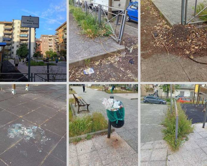 degrado piazza Demetrio Crea Cosenza